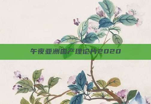 午夜亚洲国产理论片2020